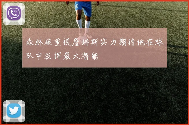 森林狼重视詹姆斯实力期待他在球队中发挥最大潜能