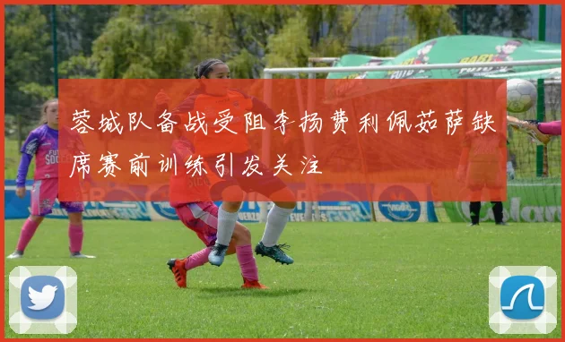 蓉城队备战受阻李扬费利佩茹萨缺席赛前训练引发关注